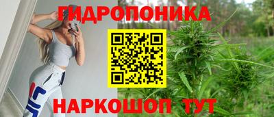 шишки Обь