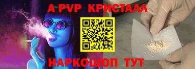шишки Обь