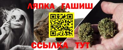 сатива Обнинск