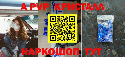 шишки Обь